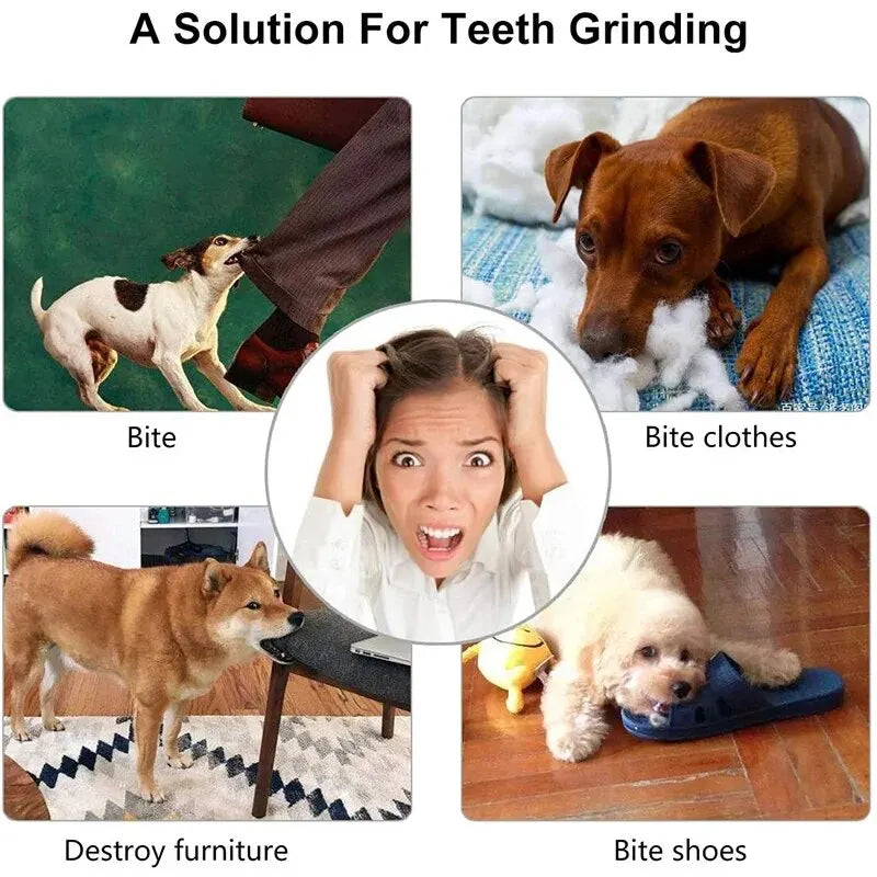 Dental Chew Ball for Dogs – Interactive Treat & Teeth Cleaning Toy