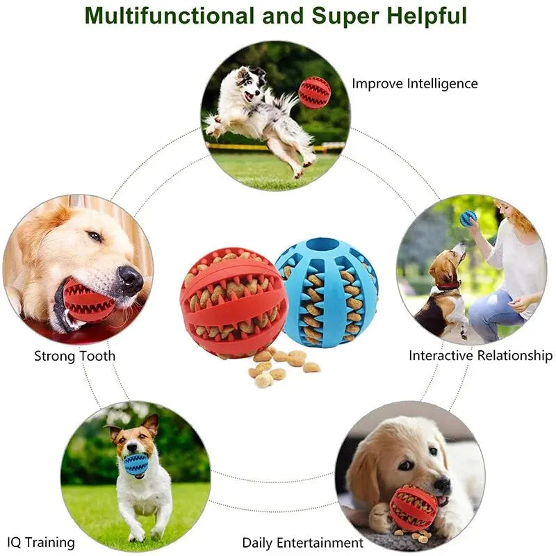 Dental Chew Ball for Dogs – Interactive Treat & Teeth Cleaning Toy