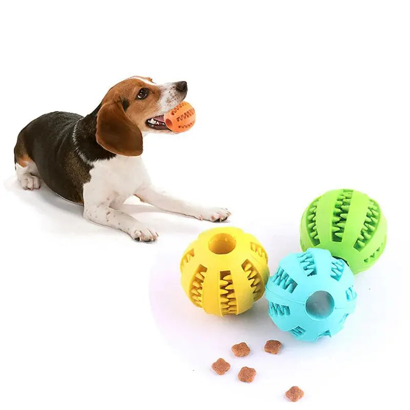 Dental Chew Ball for Dogs – Interactive Treat & Teeth Cleaning Toy